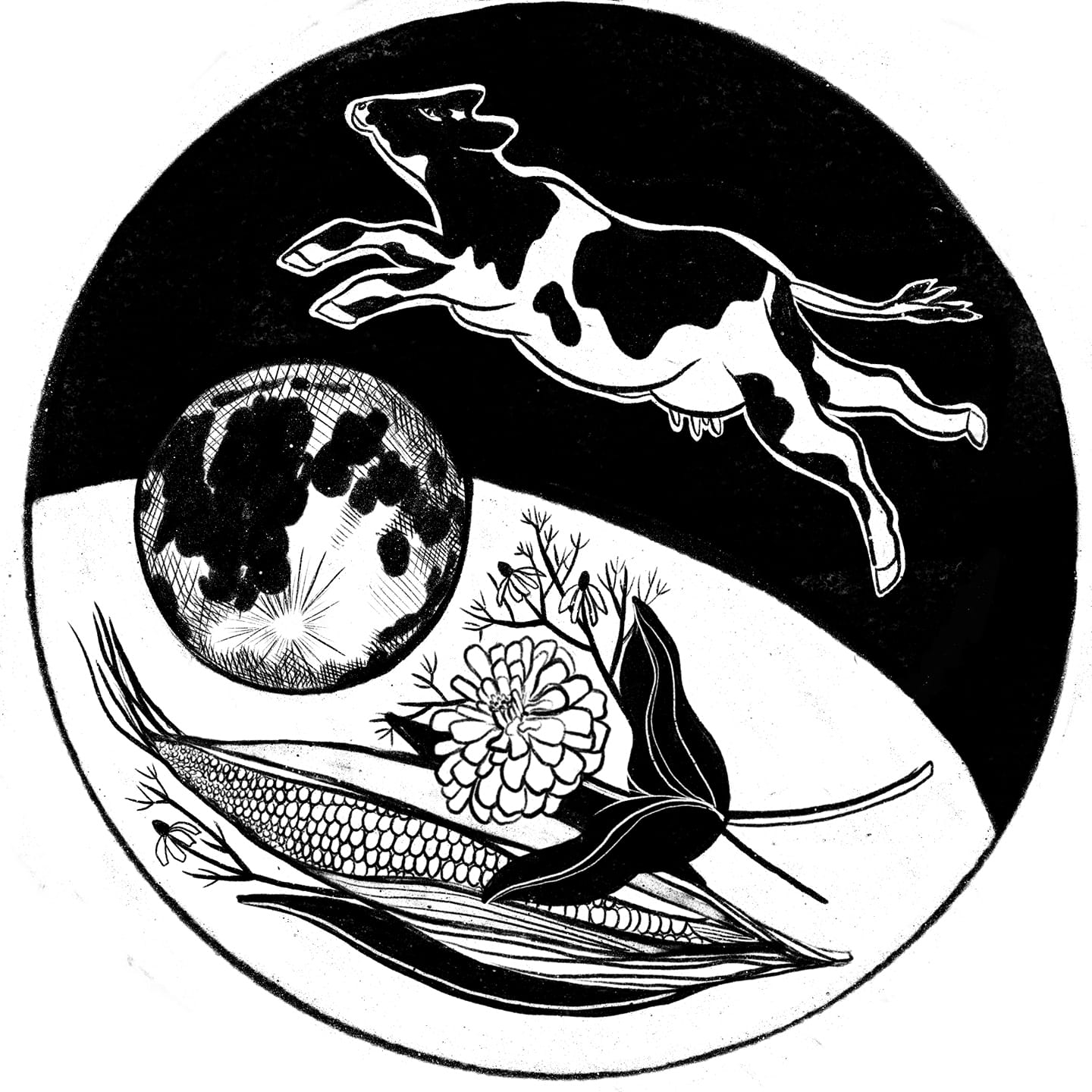 Black and white image showing a holstein cow jumping over the moon with an ear of corn under the moon and a flower.