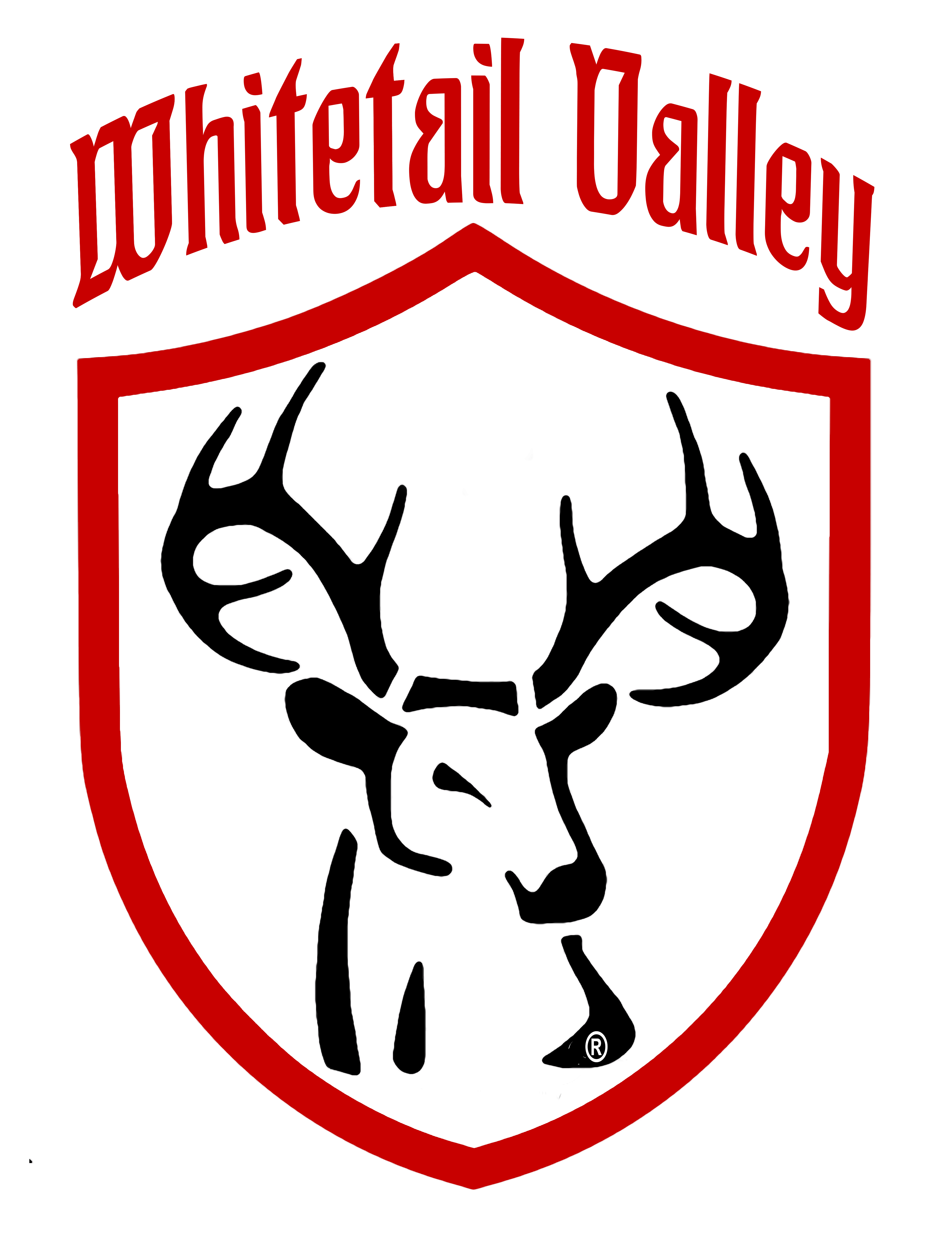Head and antlers of a whitetail deer inside a shield shaped border