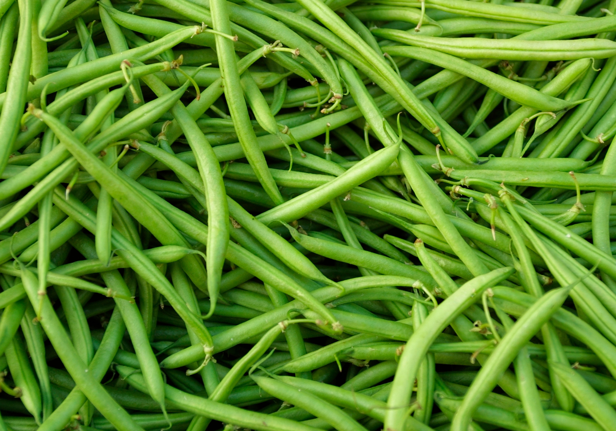 Beans