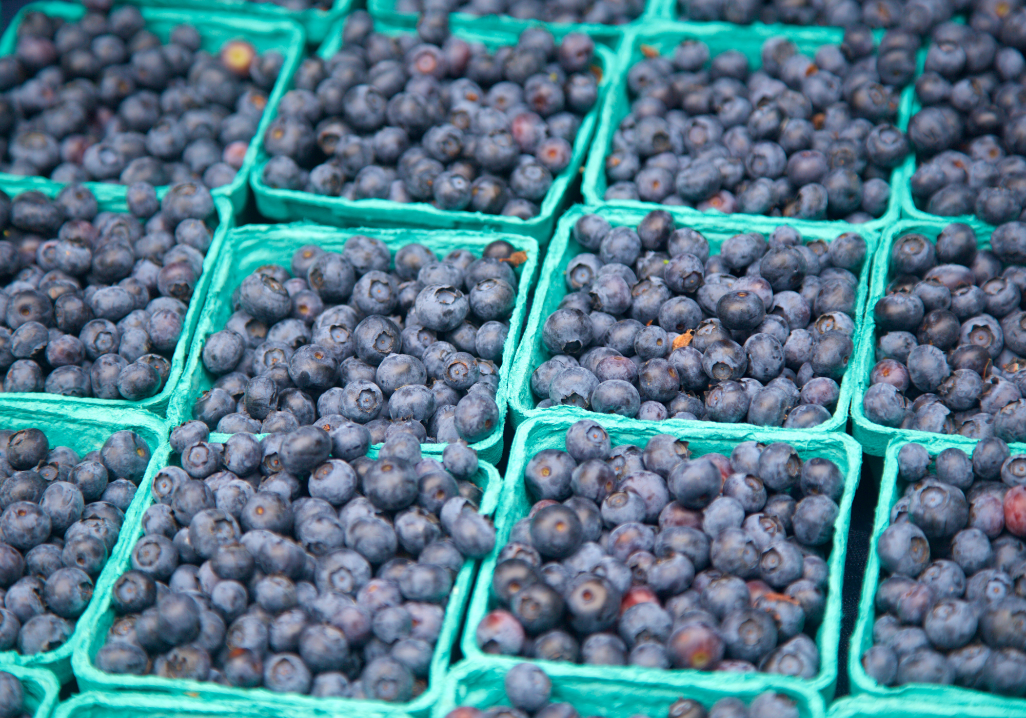 Blueberries
