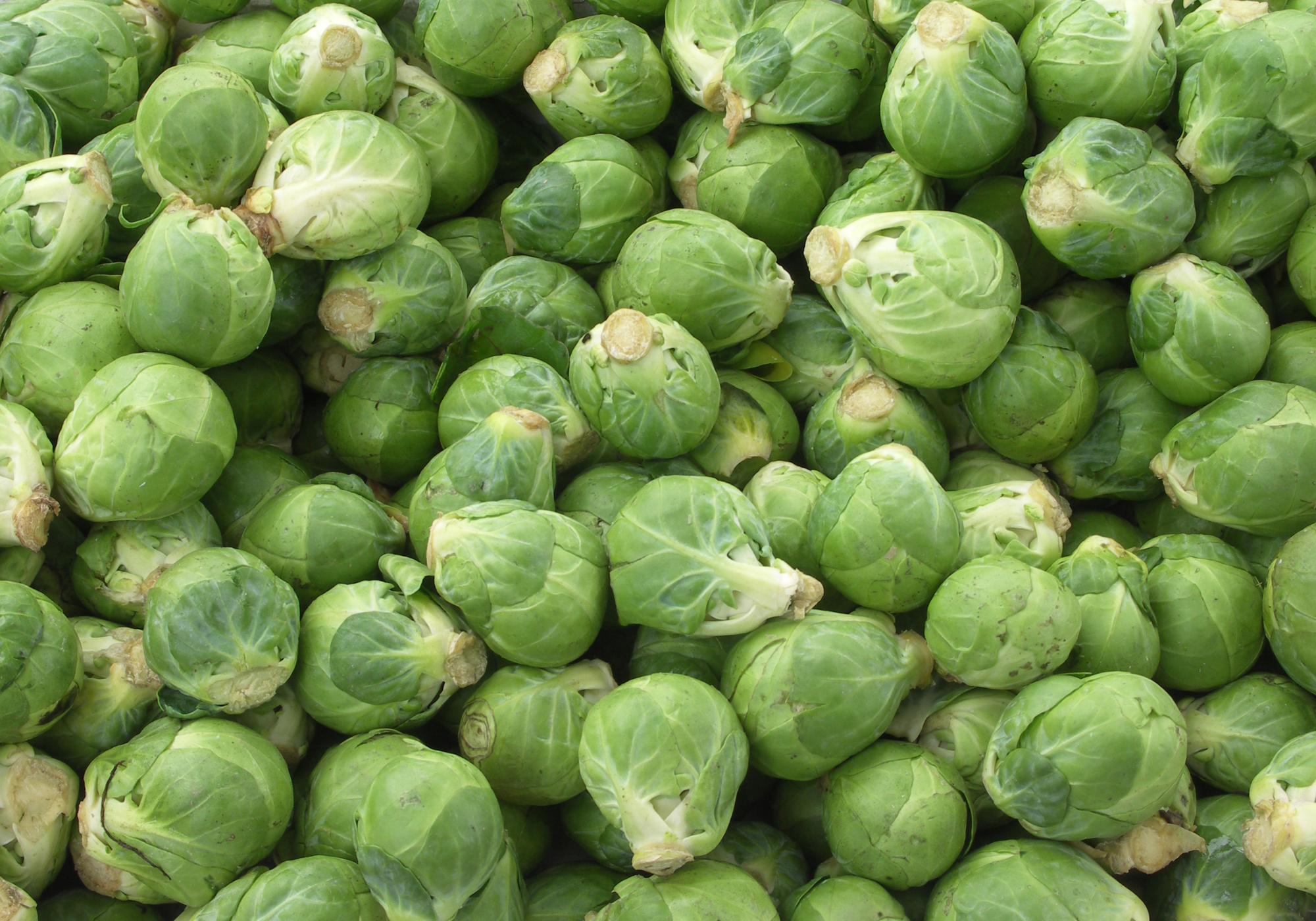 Brussels sprouts