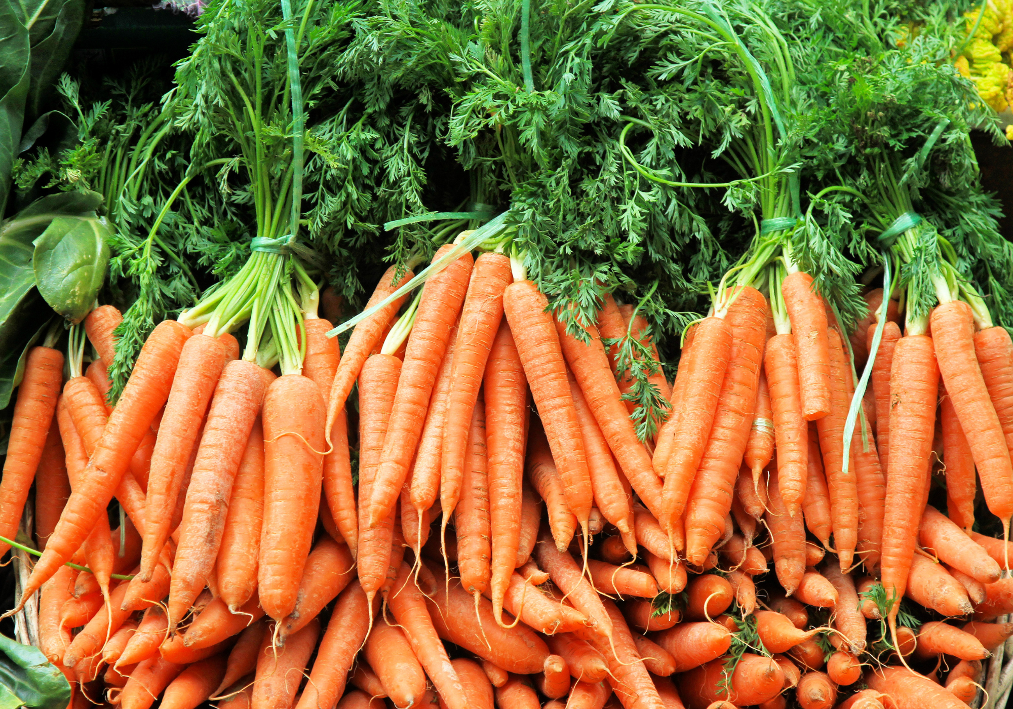 Carrots