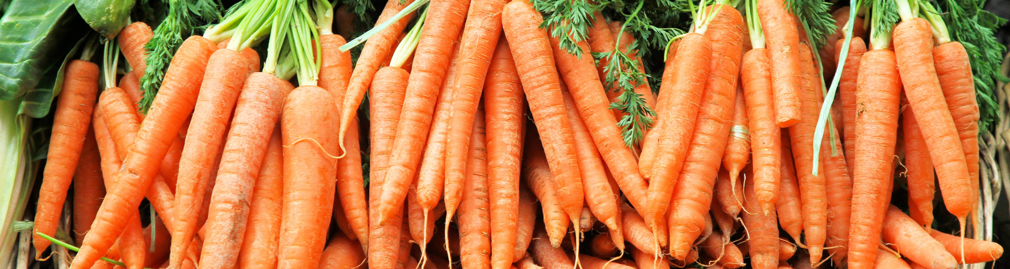 Carrots