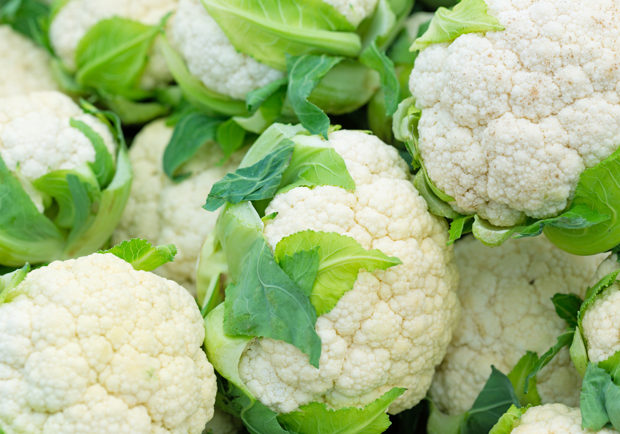 Cauliflower