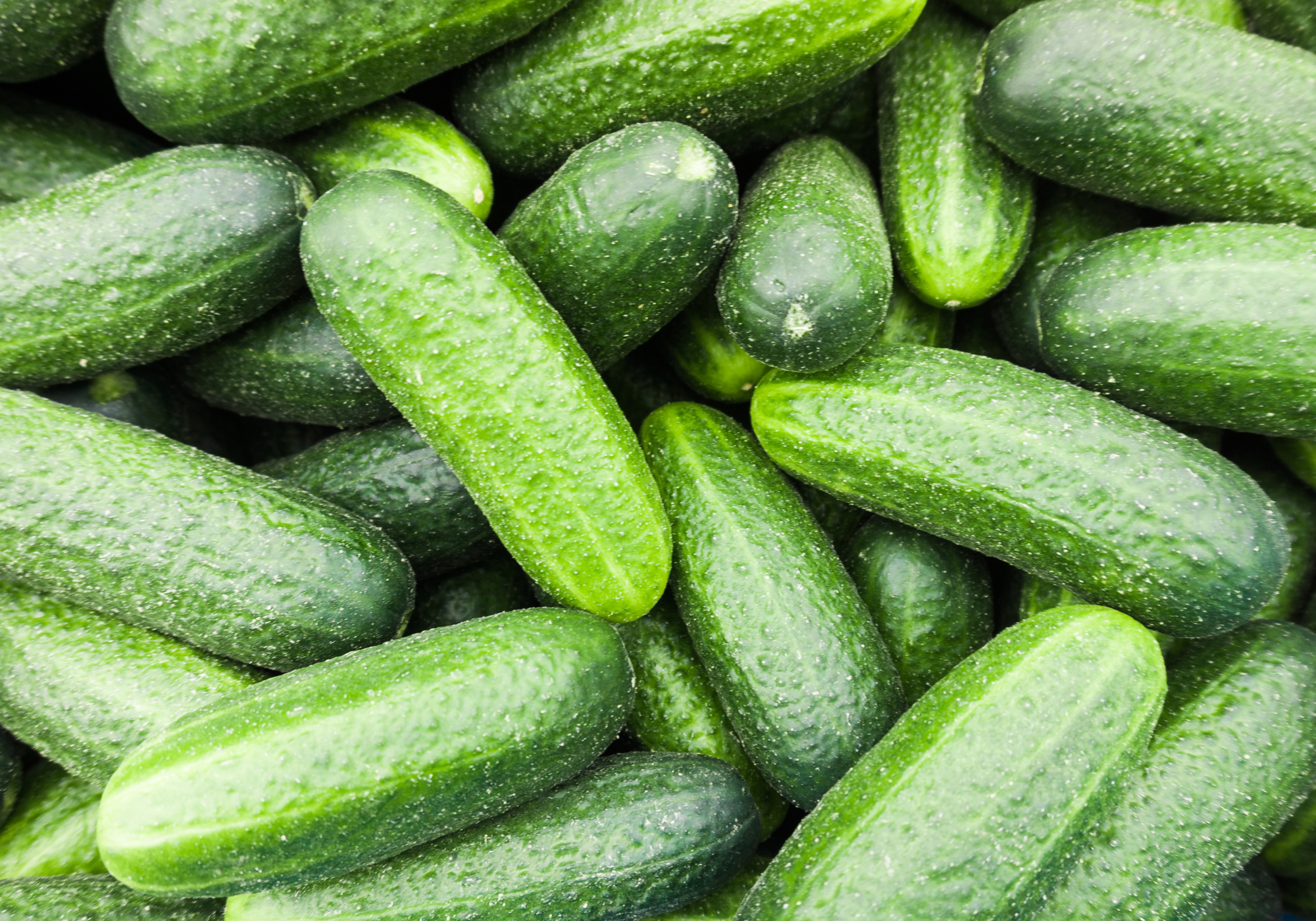 Cucumbers
