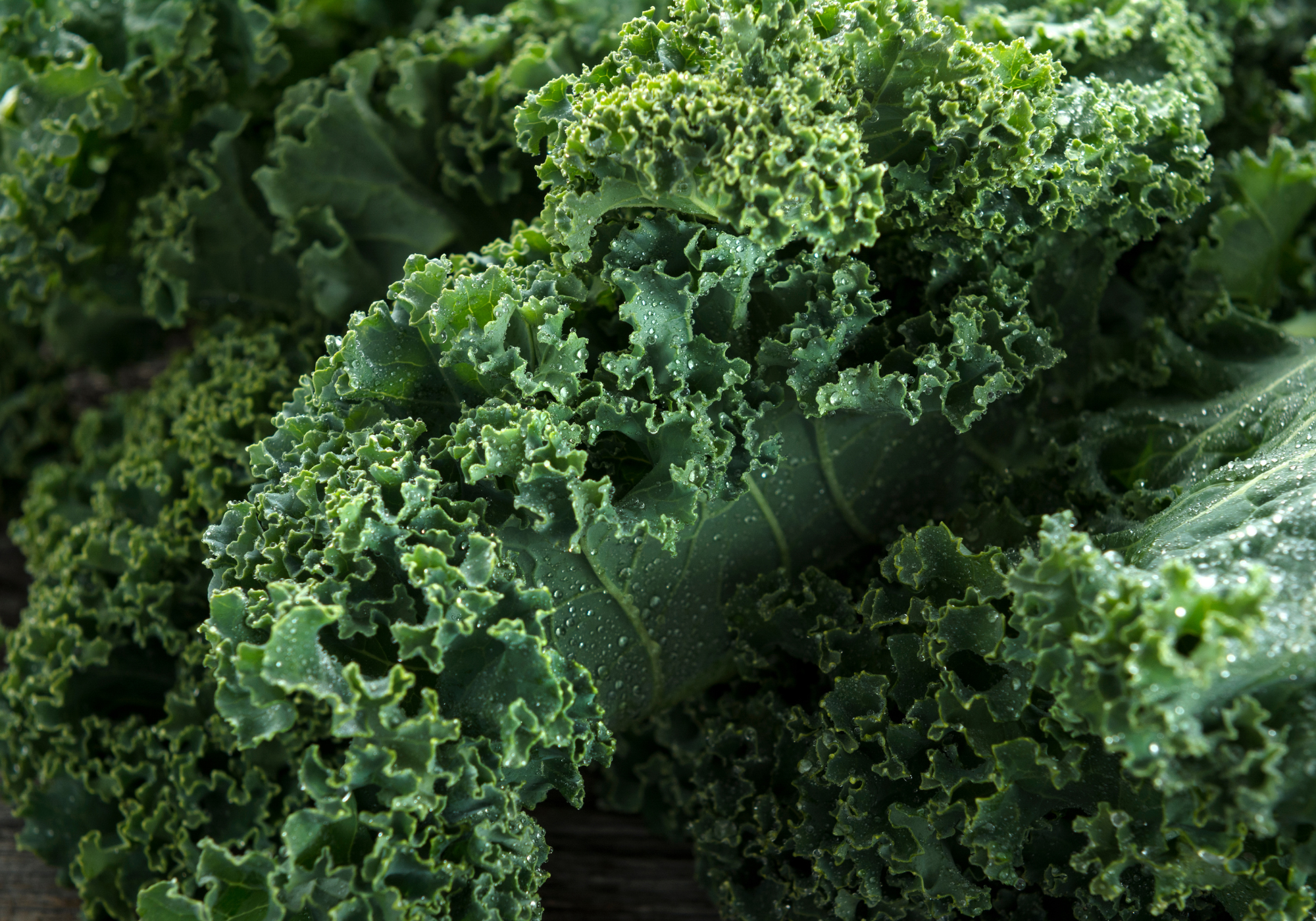 Kale