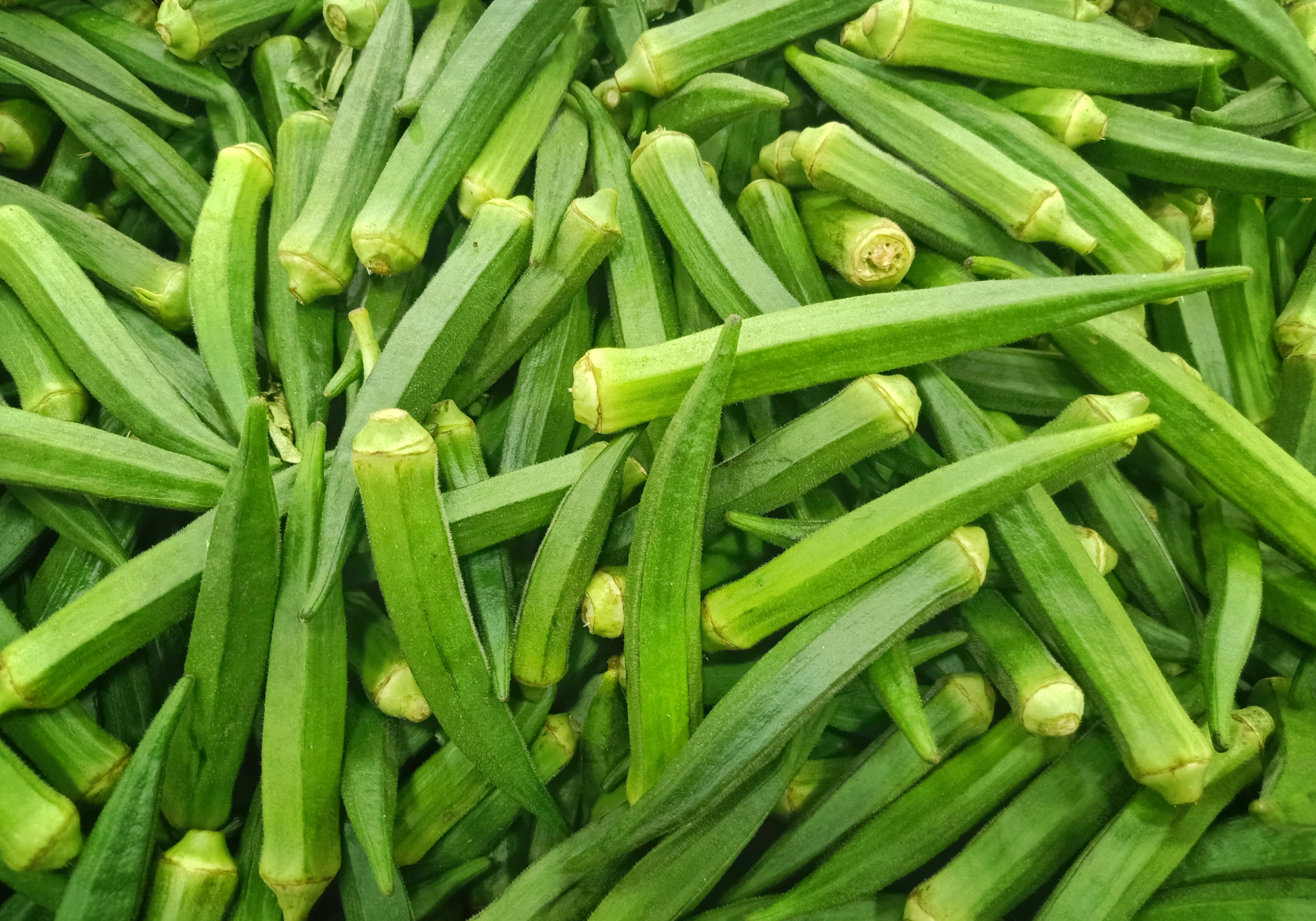Okra