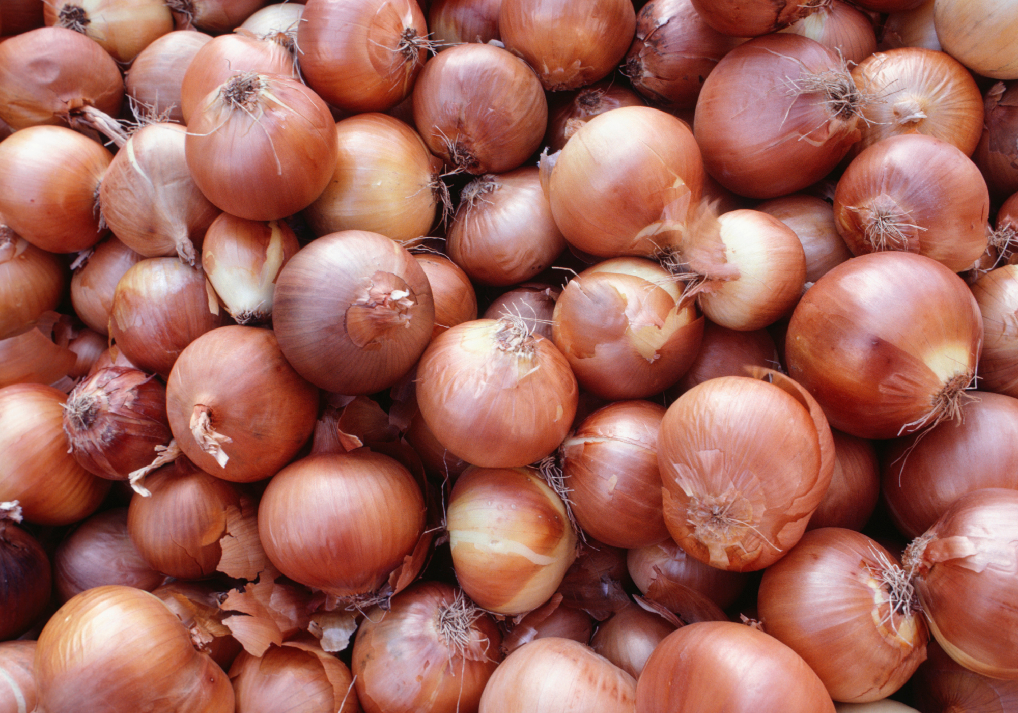 Onions