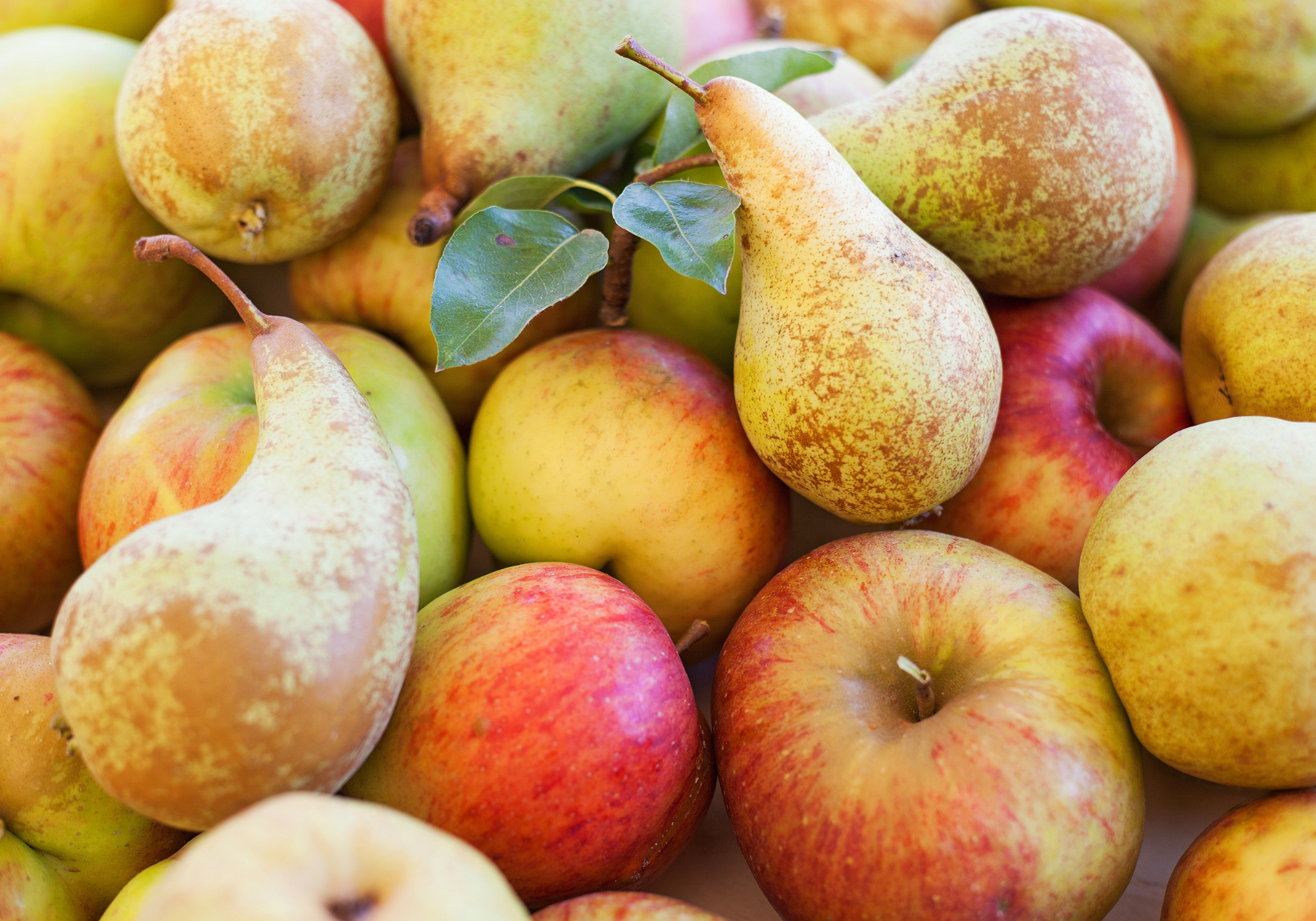 Organic fruits