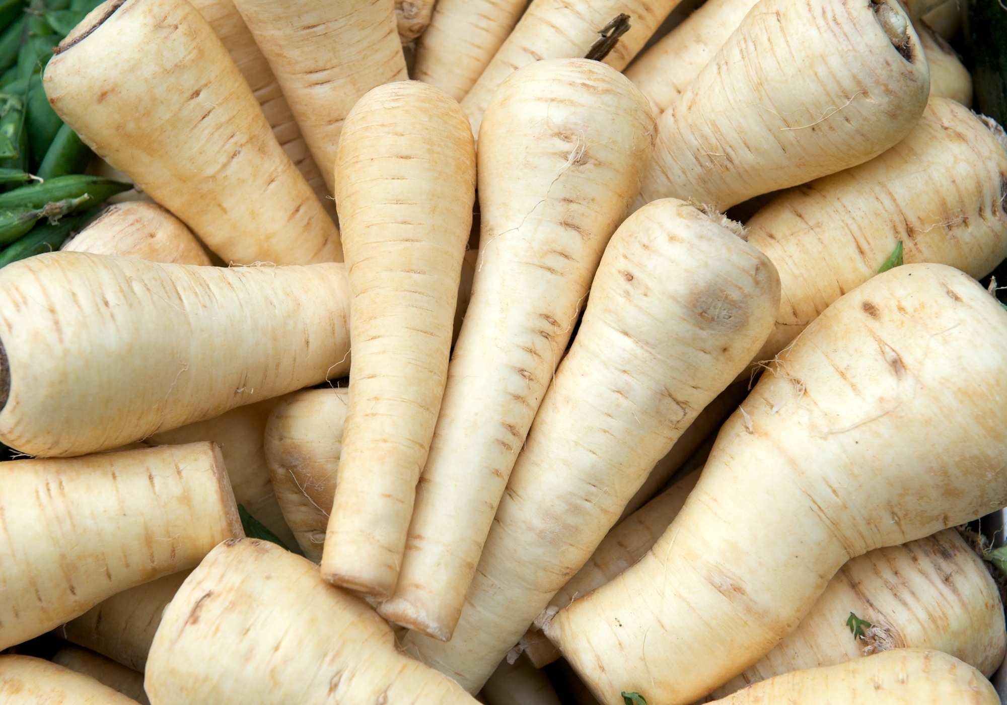 Parsnips
