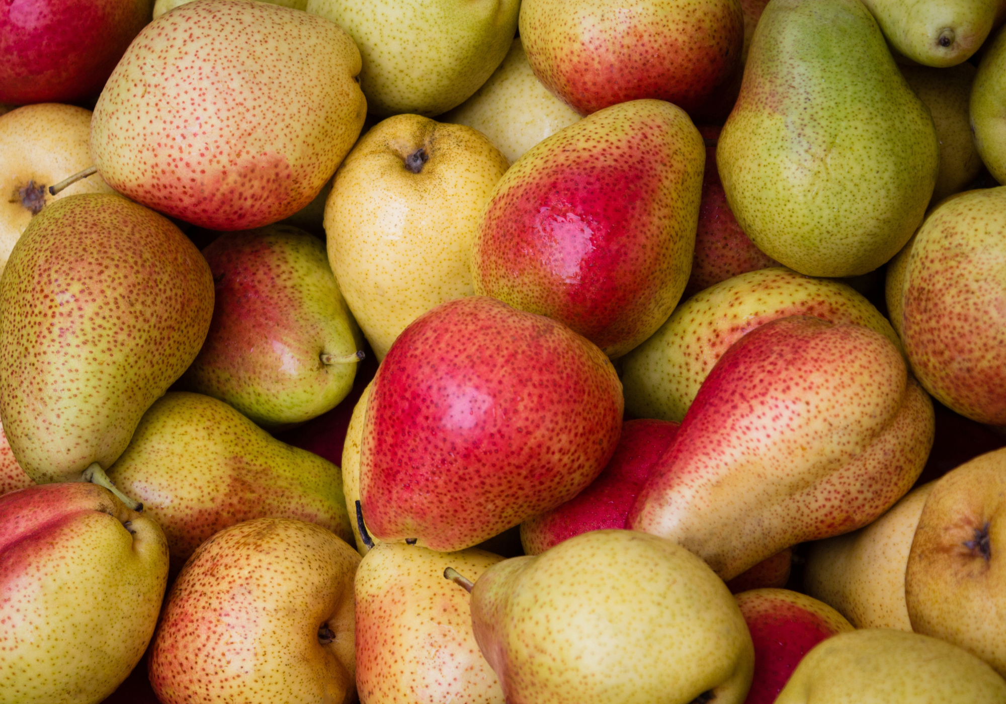Pears