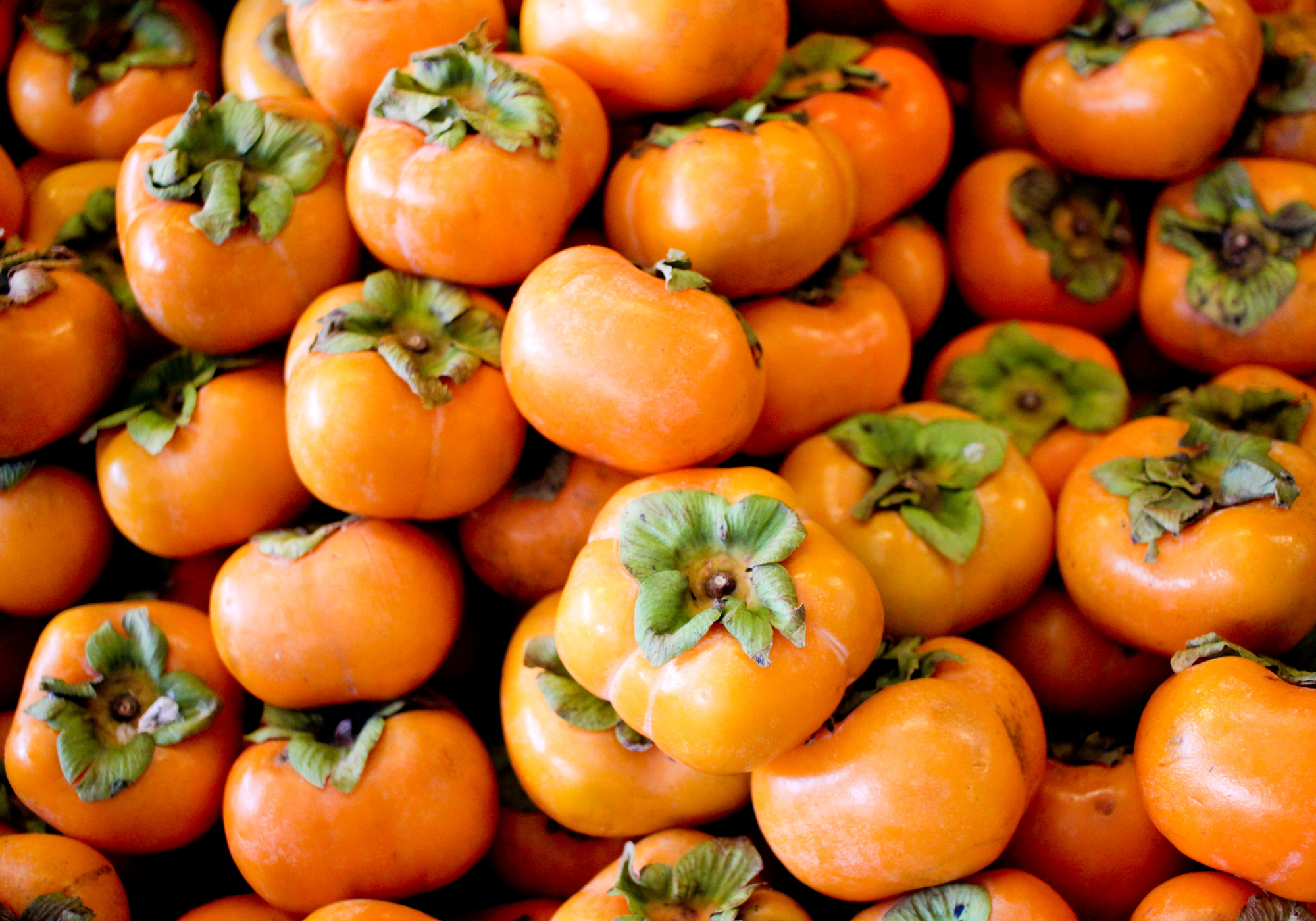 Persimmons