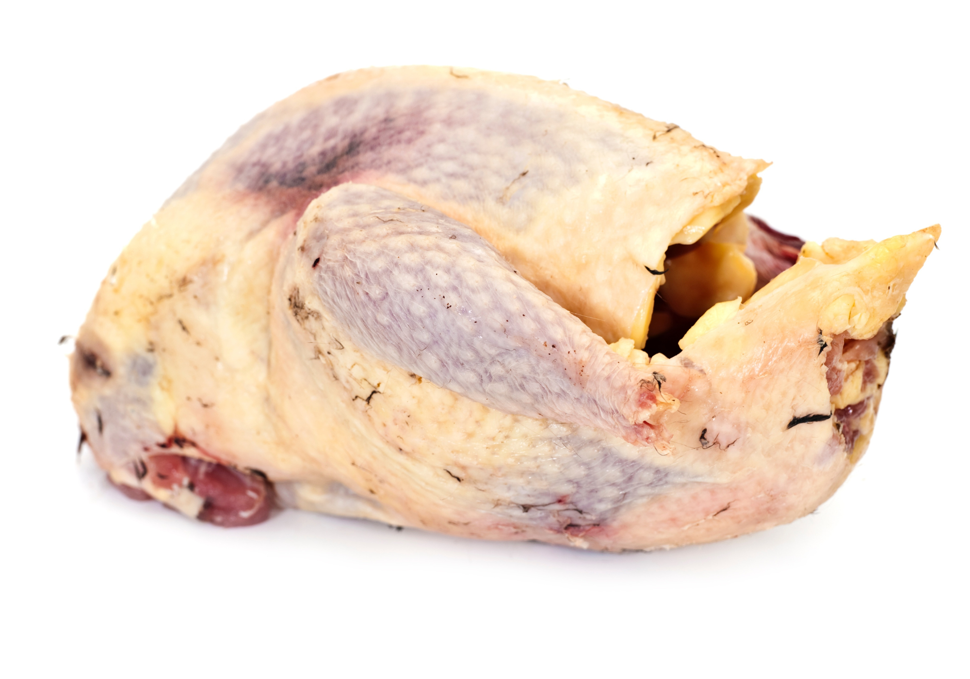 Pheasant