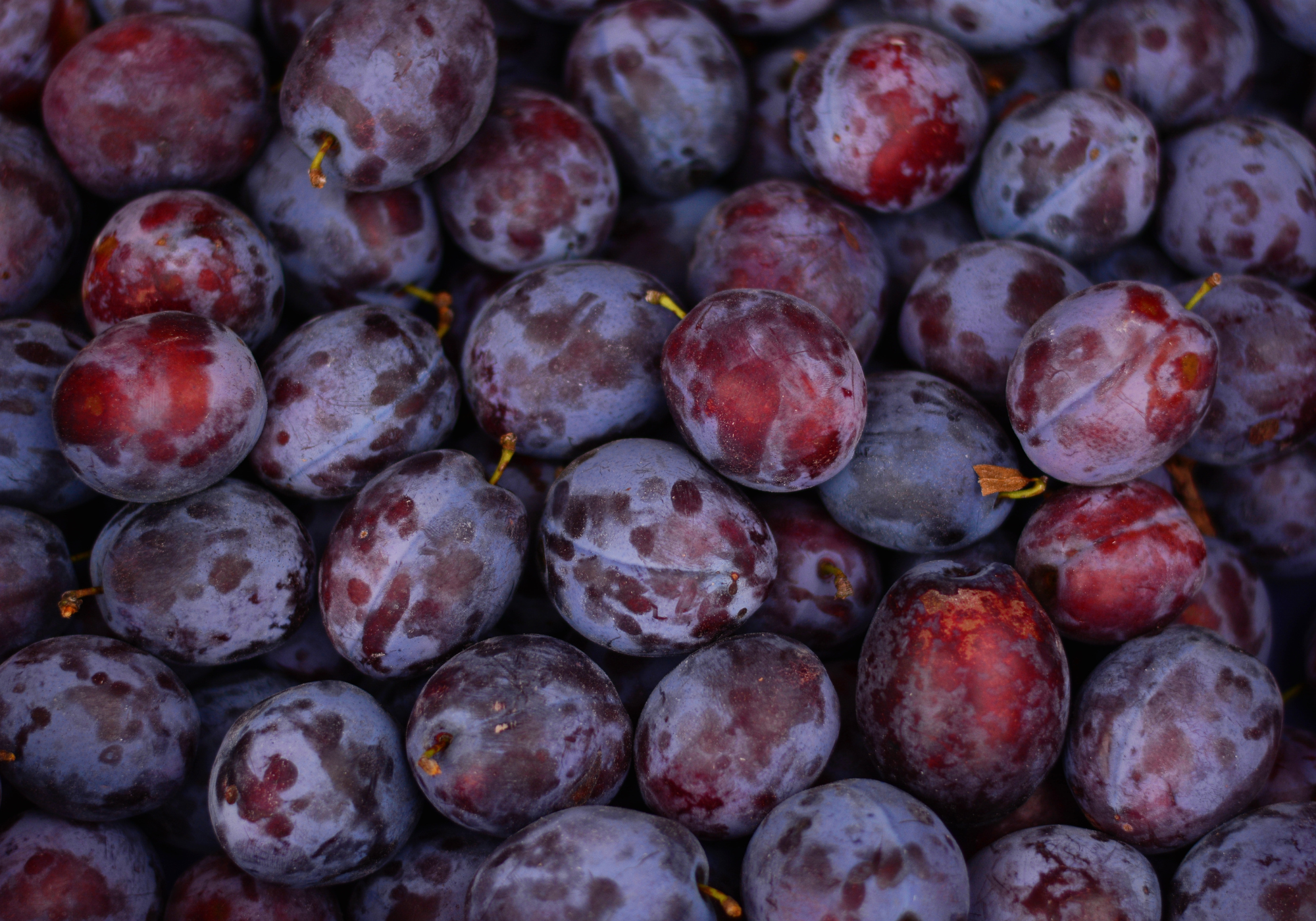 Plums