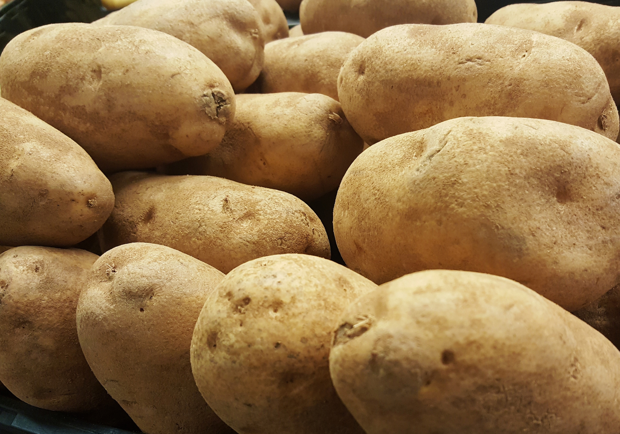 Potatoes