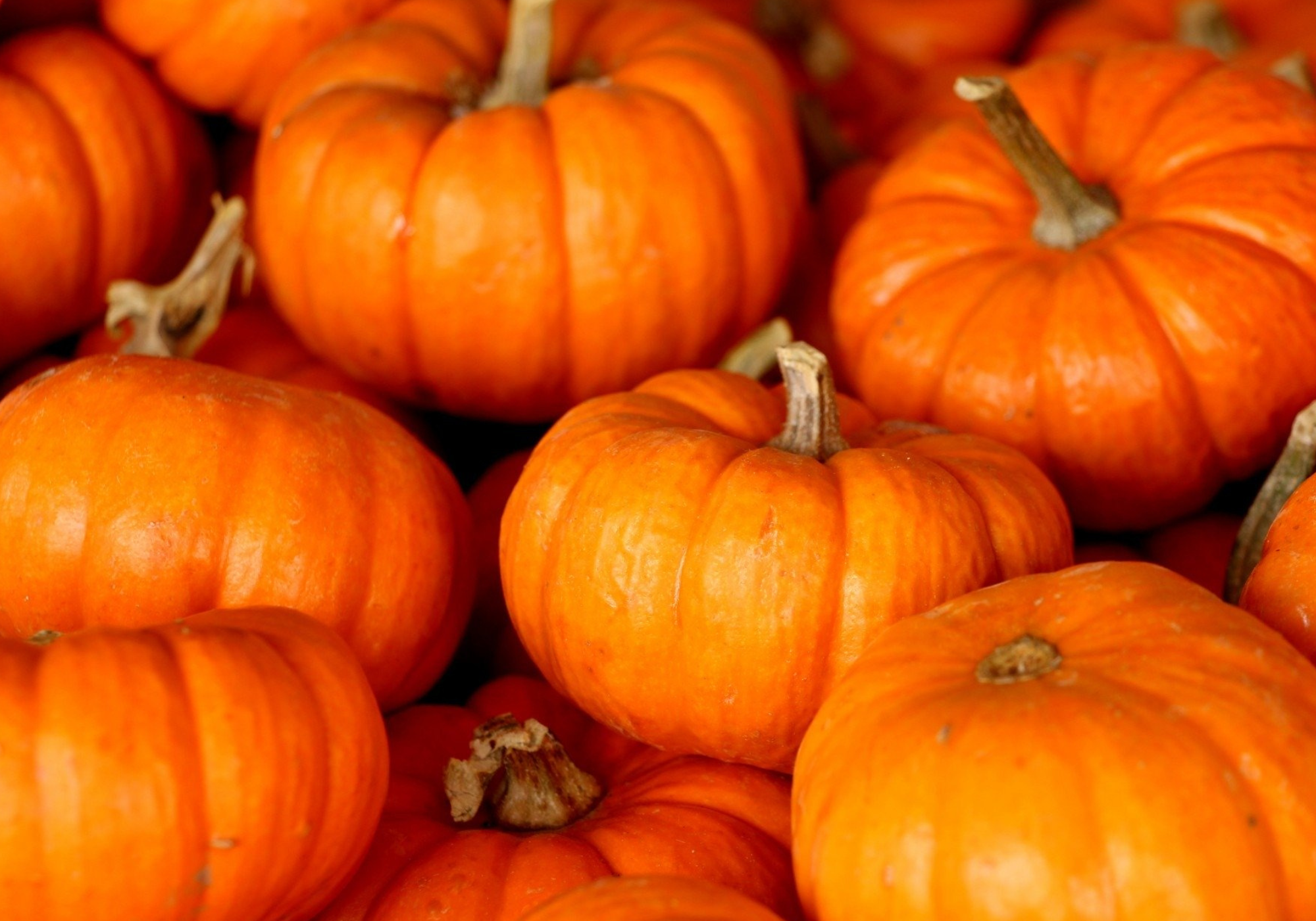 Pumpkins
