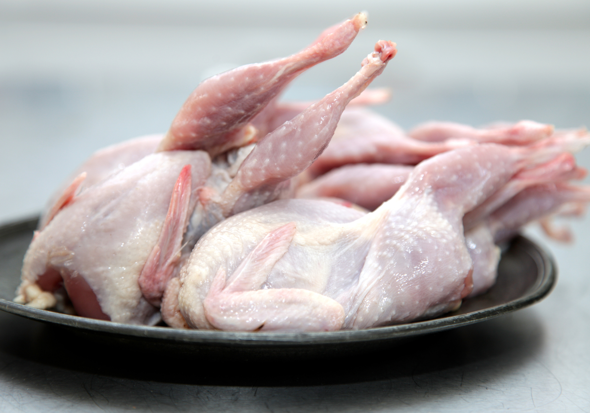 Quail