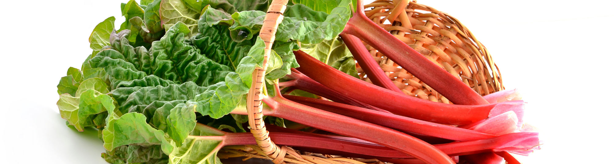 Rhubarb