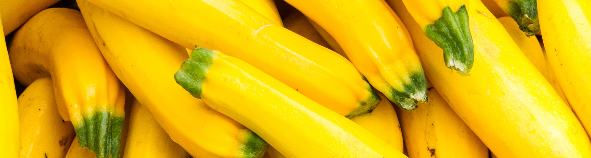 summer squash