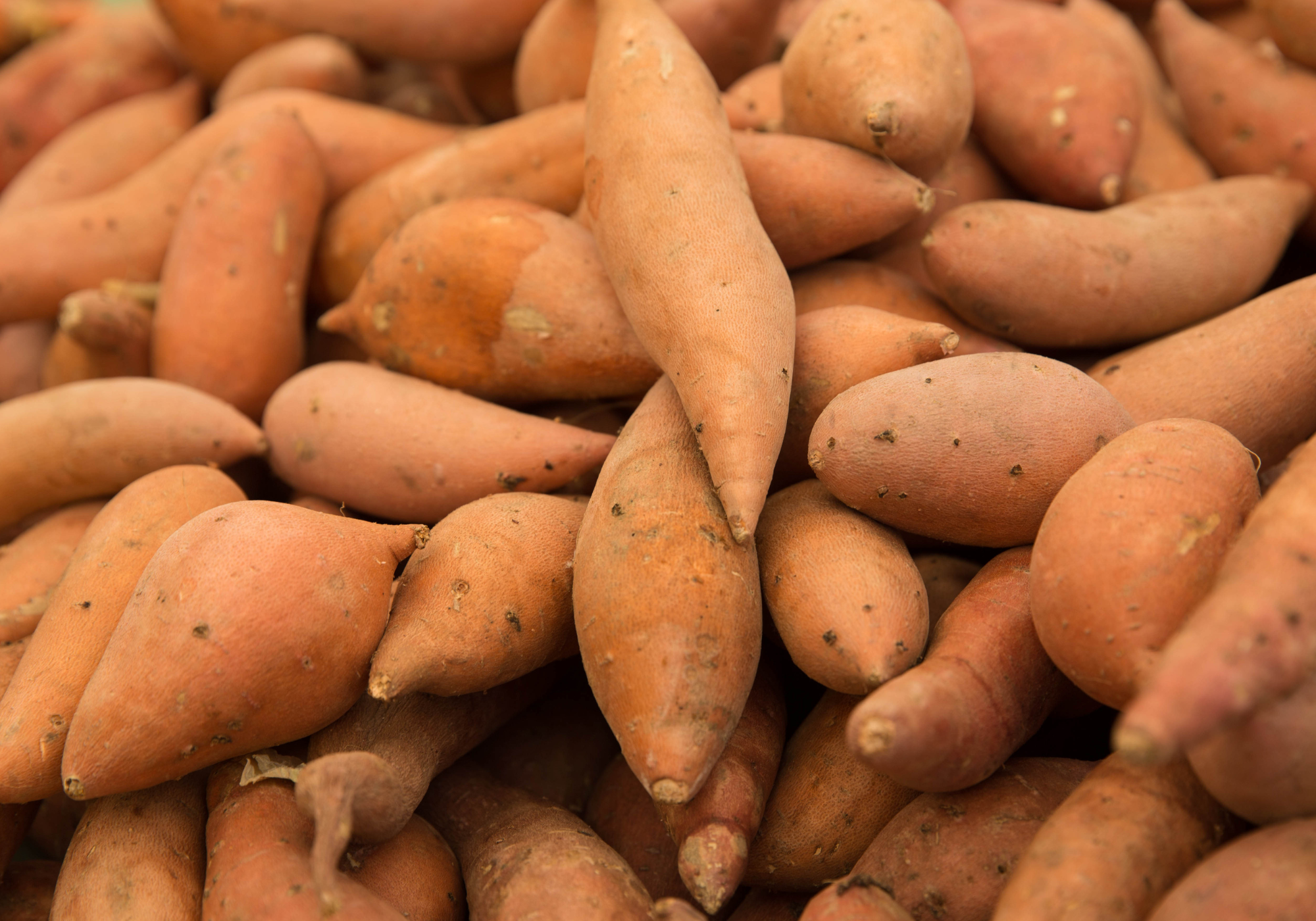 Sweet potato