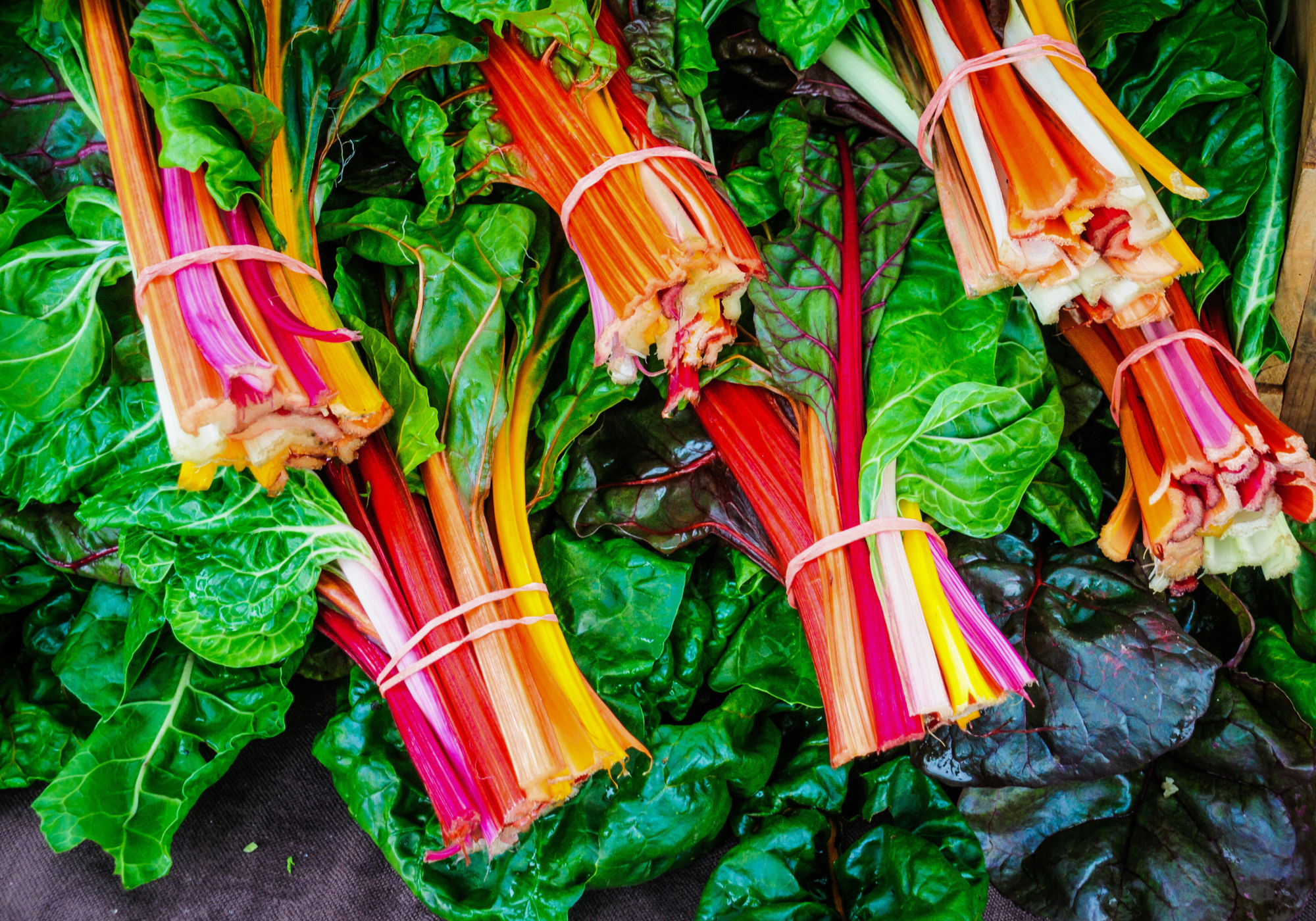 Swiss chard