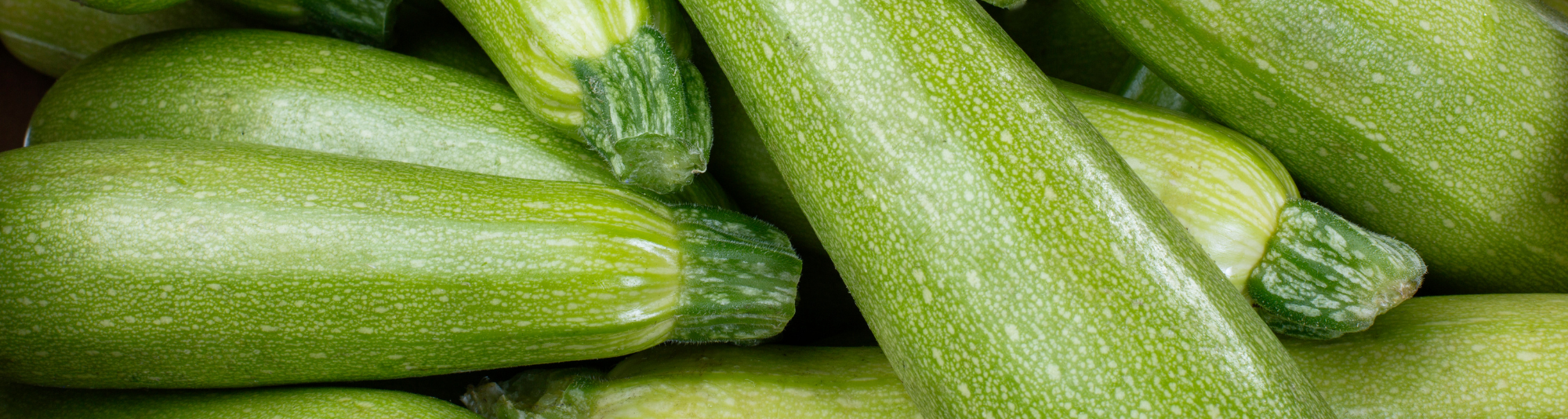 Zucchini