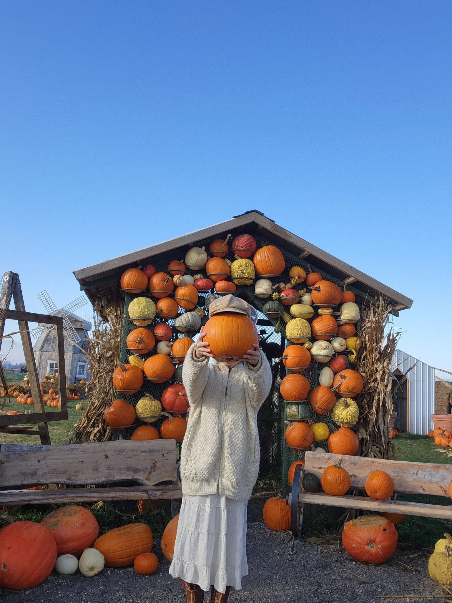 Person with pumpkin over face in front of pumpkin wall