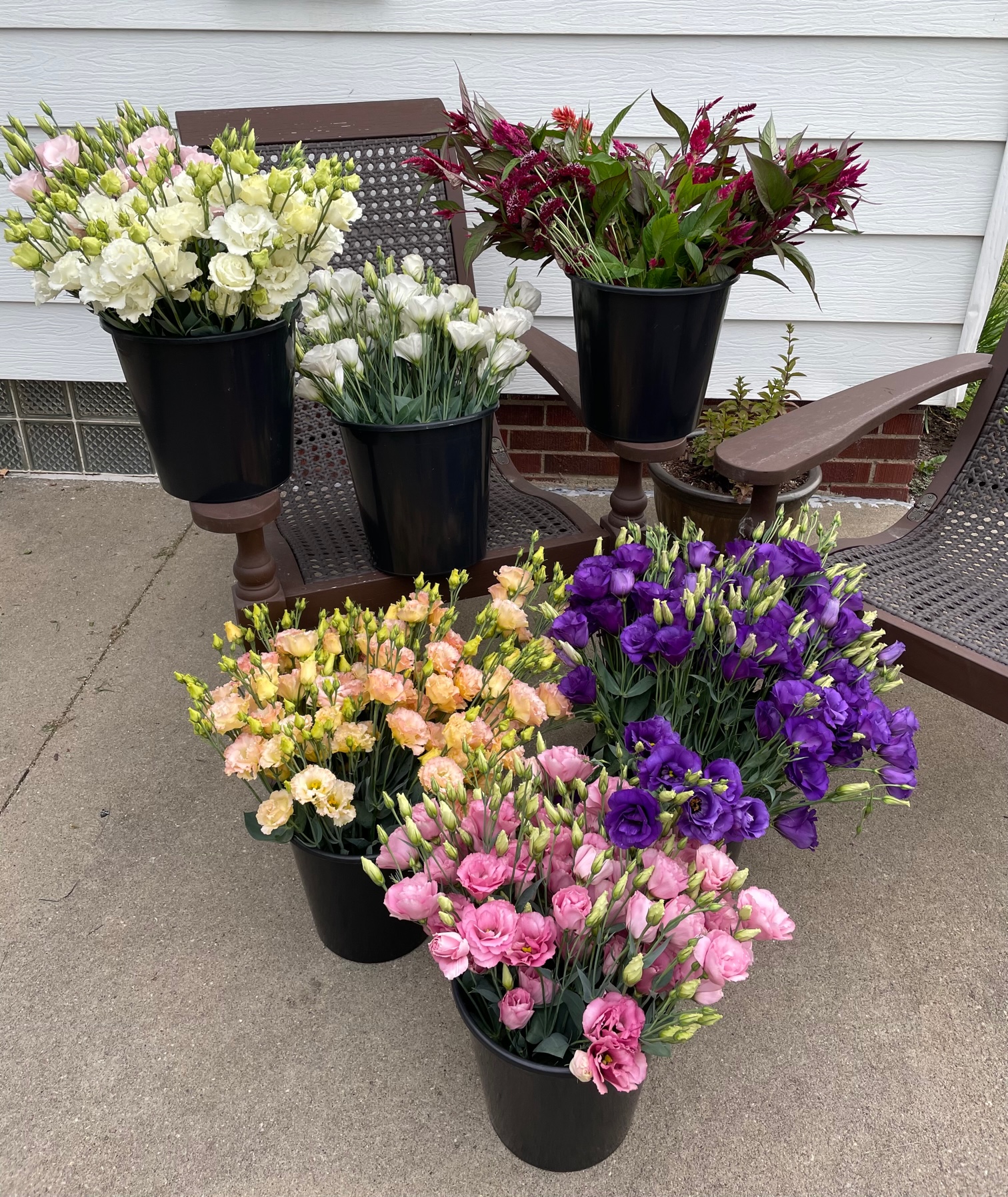 Buckets of colorful flowers sit ready to be arranged.