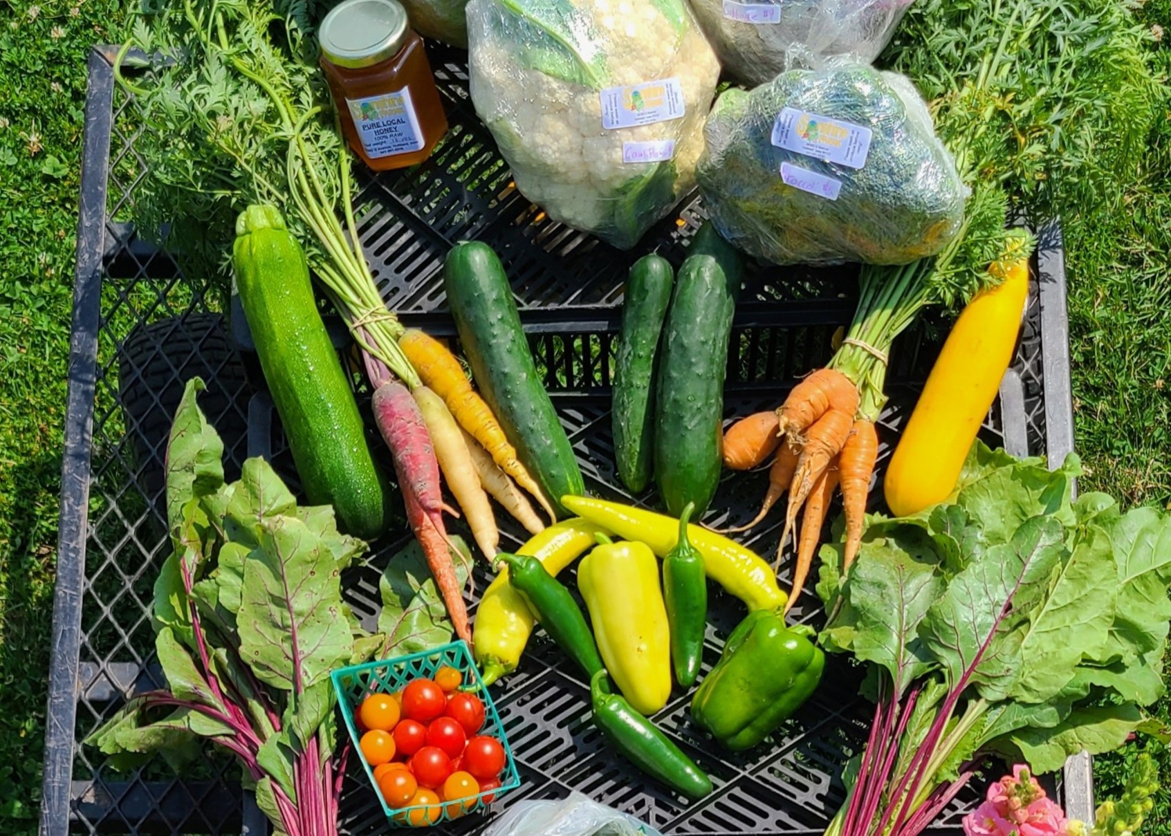 Foodhub