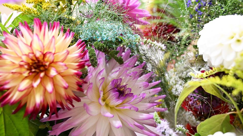 Flowers from Cortum Farm and Excelsior Farm are ready for display