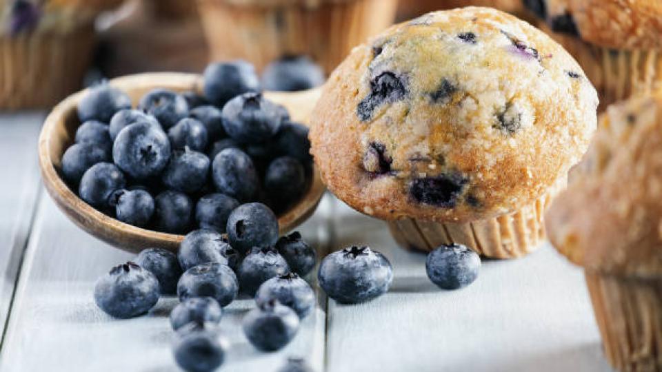 Blueberry Muffin