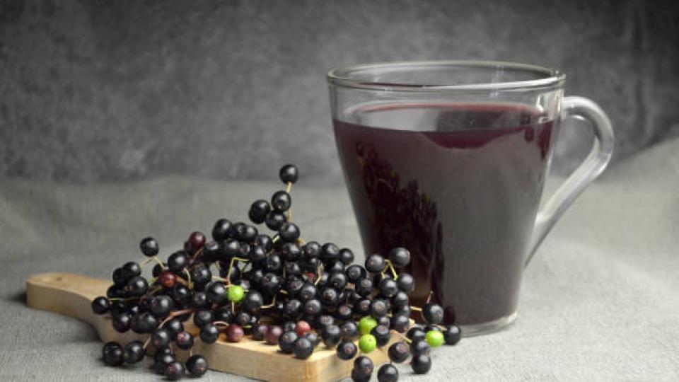 Elderberry Tea