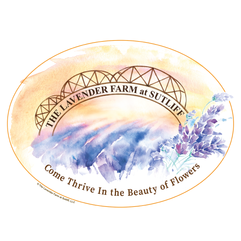 Logo of a lavender field in the foreground with the historic Sutliff Bridge in the background. The slogan says, "Come Thrive With Us In The Beauty of Flowers."