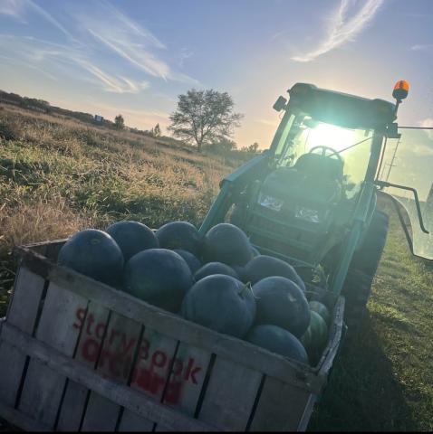 Tractor with sunlight streaming behind and large box of produce in front