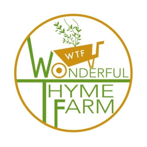 Wonderful Thyme Farm name in green lettering with the letter O in Wonderful posting double duty as the wheel of a wheelbarrow with a plant inside.