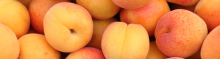 Apricots