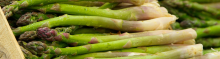 Asparagus