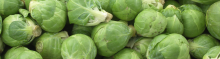 Brussel sprouts