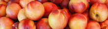 Nectarines