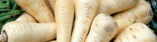 Parsnips