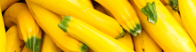 summer squash