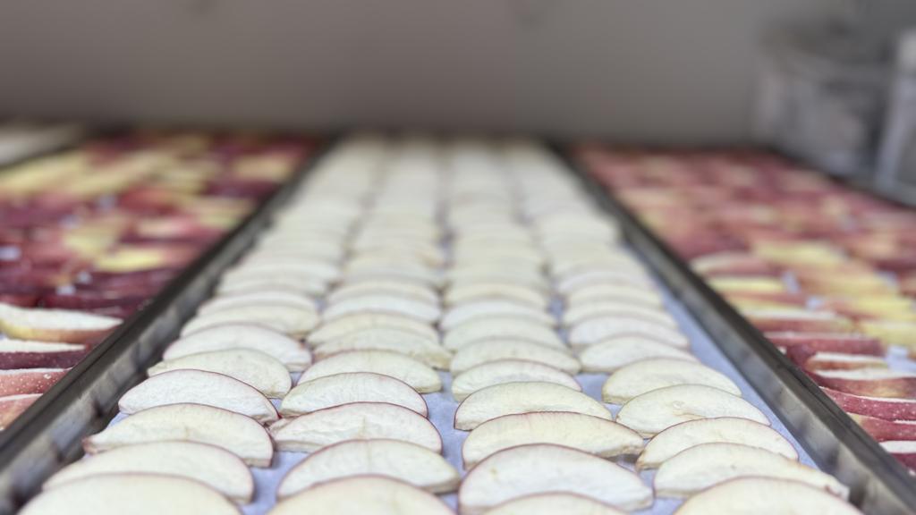 High quality freeze dried fruits