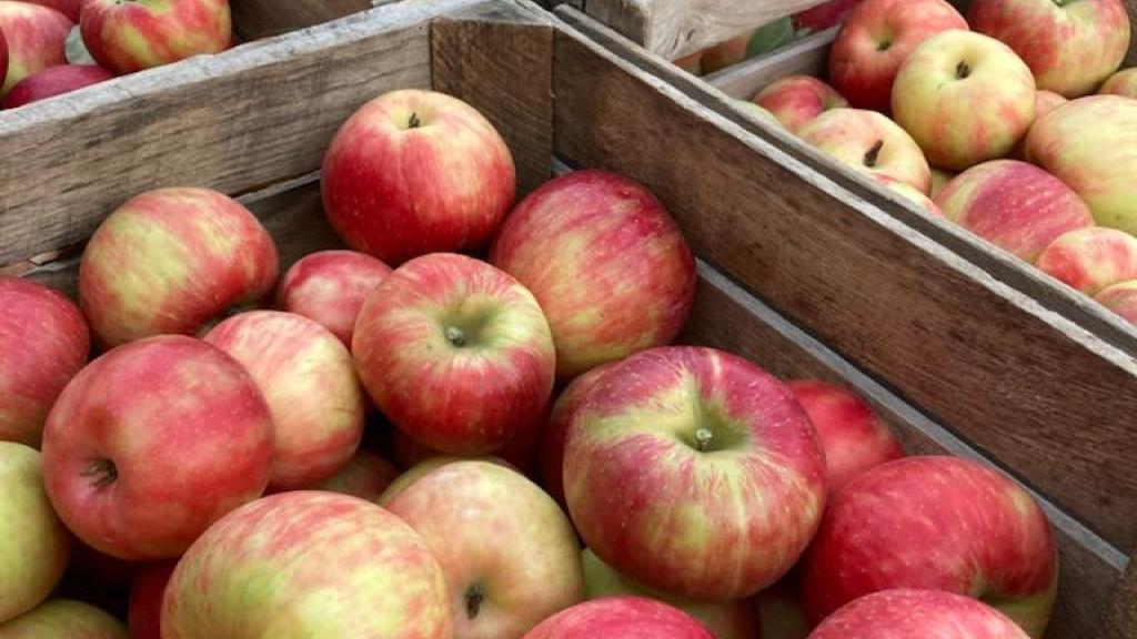 Apples