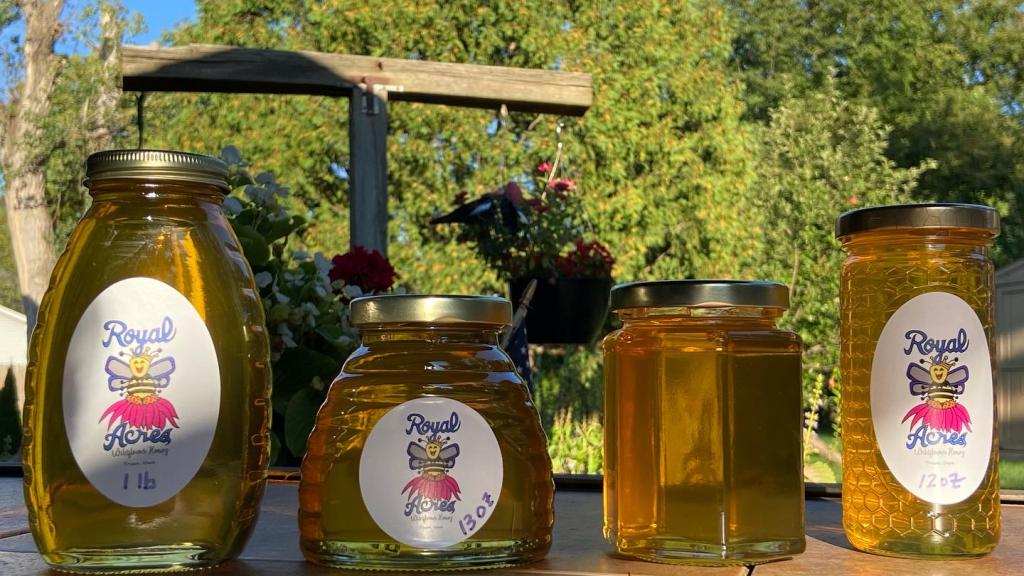 Honey - various sizes