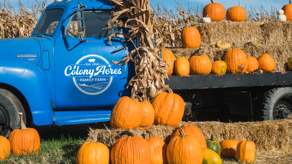 Iconic blue truck with pumpkins