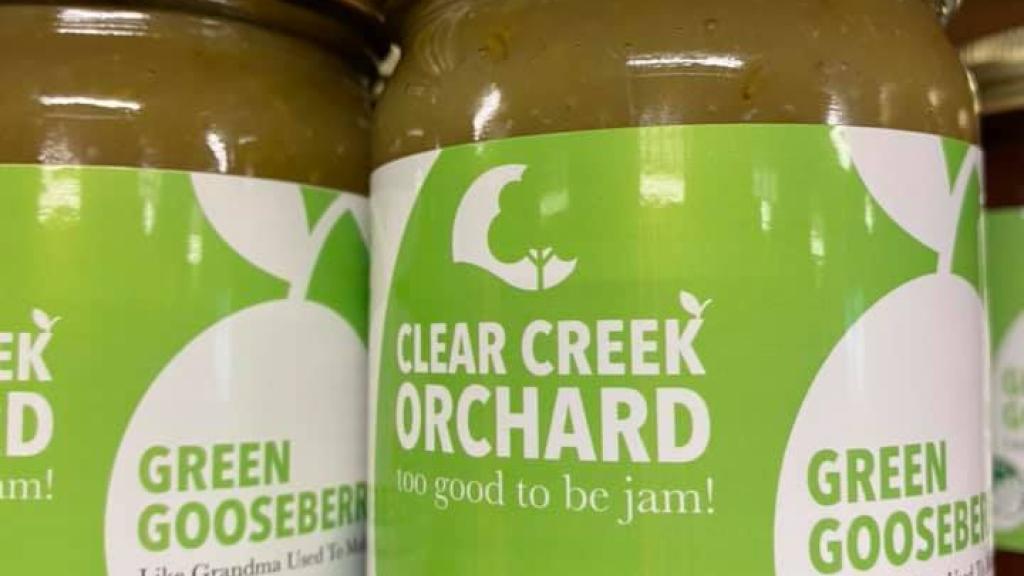 Green gooseberry