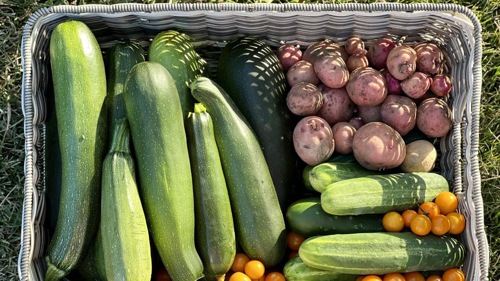Bushels & Blooms Farm produce