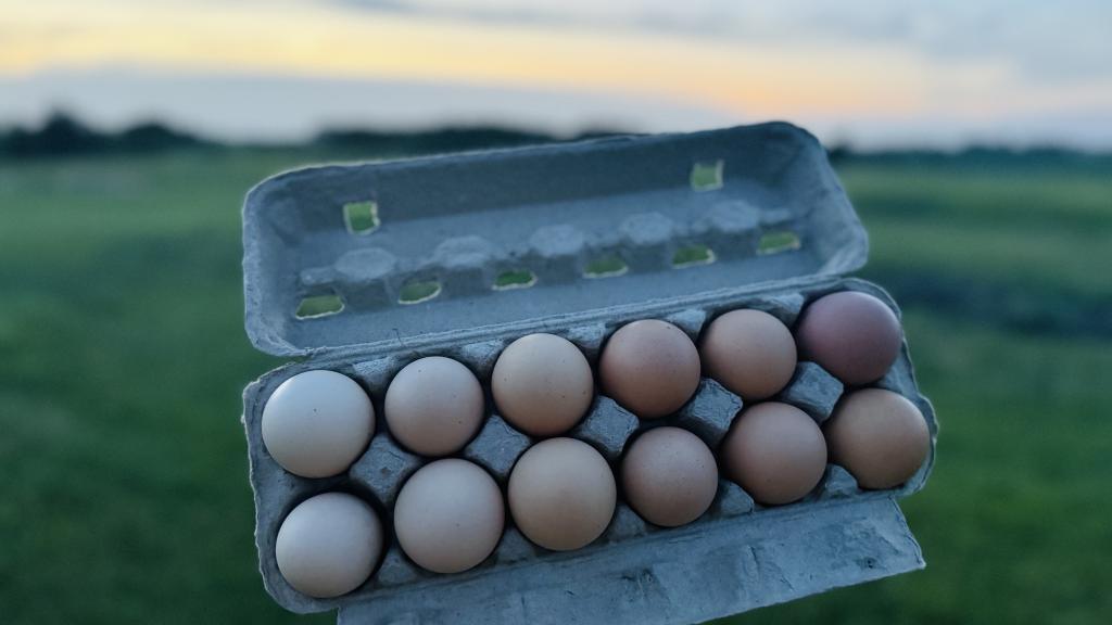 Bushels & Blooms Farm eggs