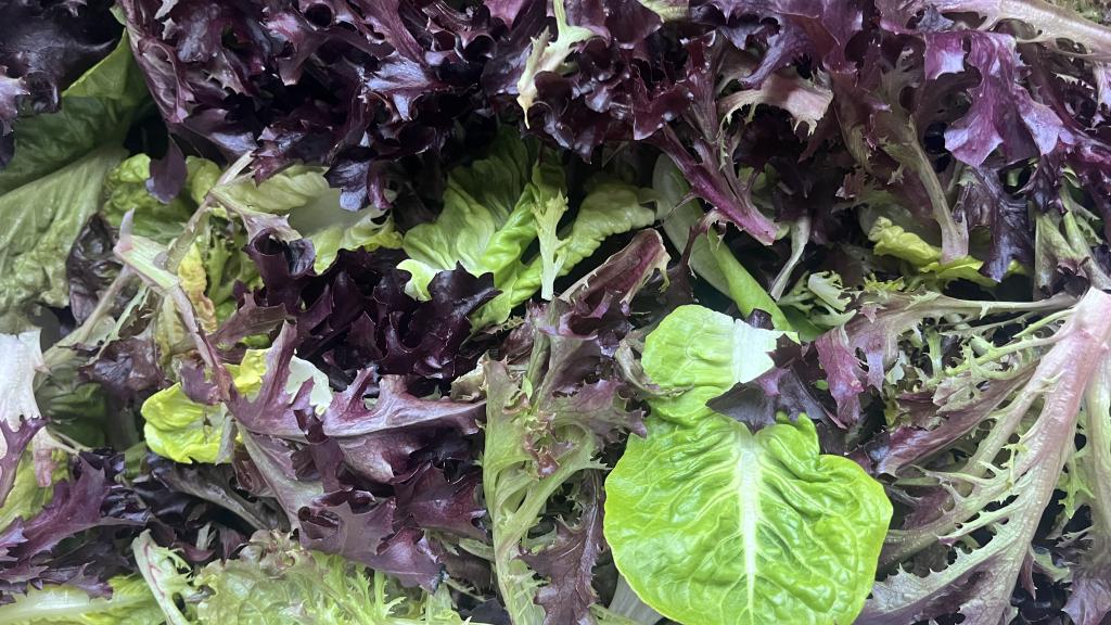 Lettuce Mix