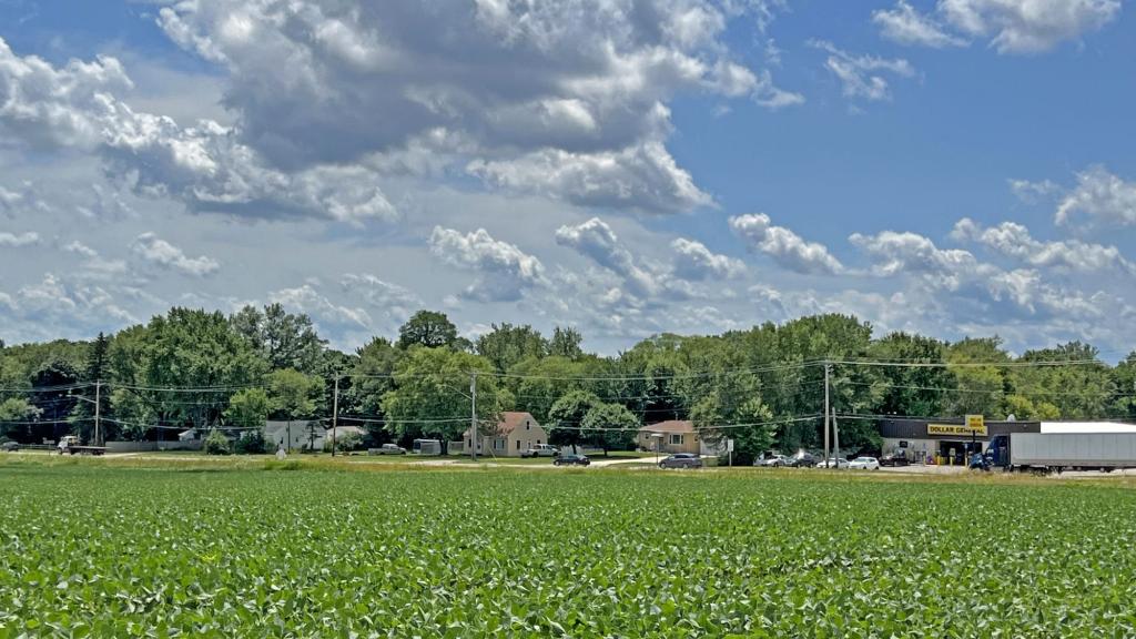 field